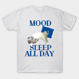 mood : sleep all day T-Shirt